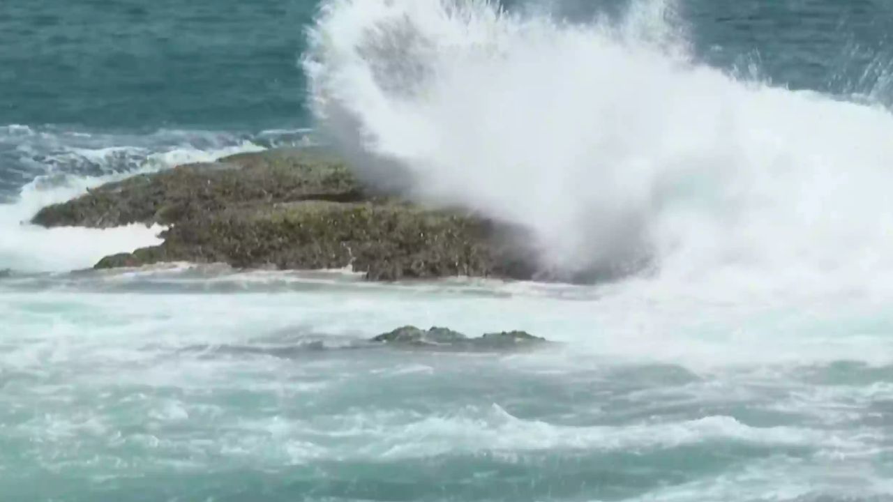 Typhoon bavi