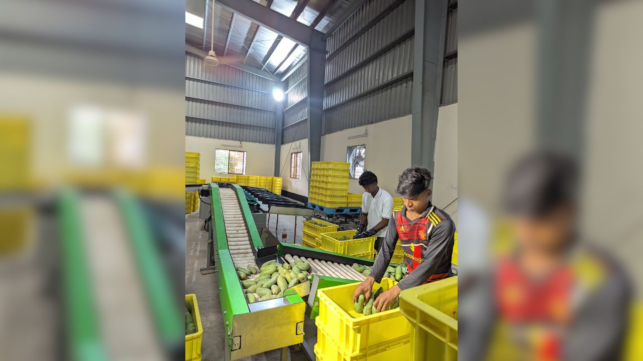 VHT facility opens in Dhaka for export-grade fruits