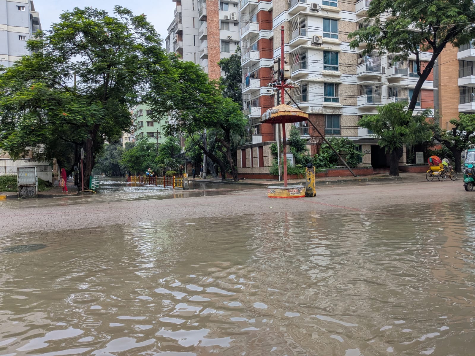 Bashundhara Residential Area drainage failures