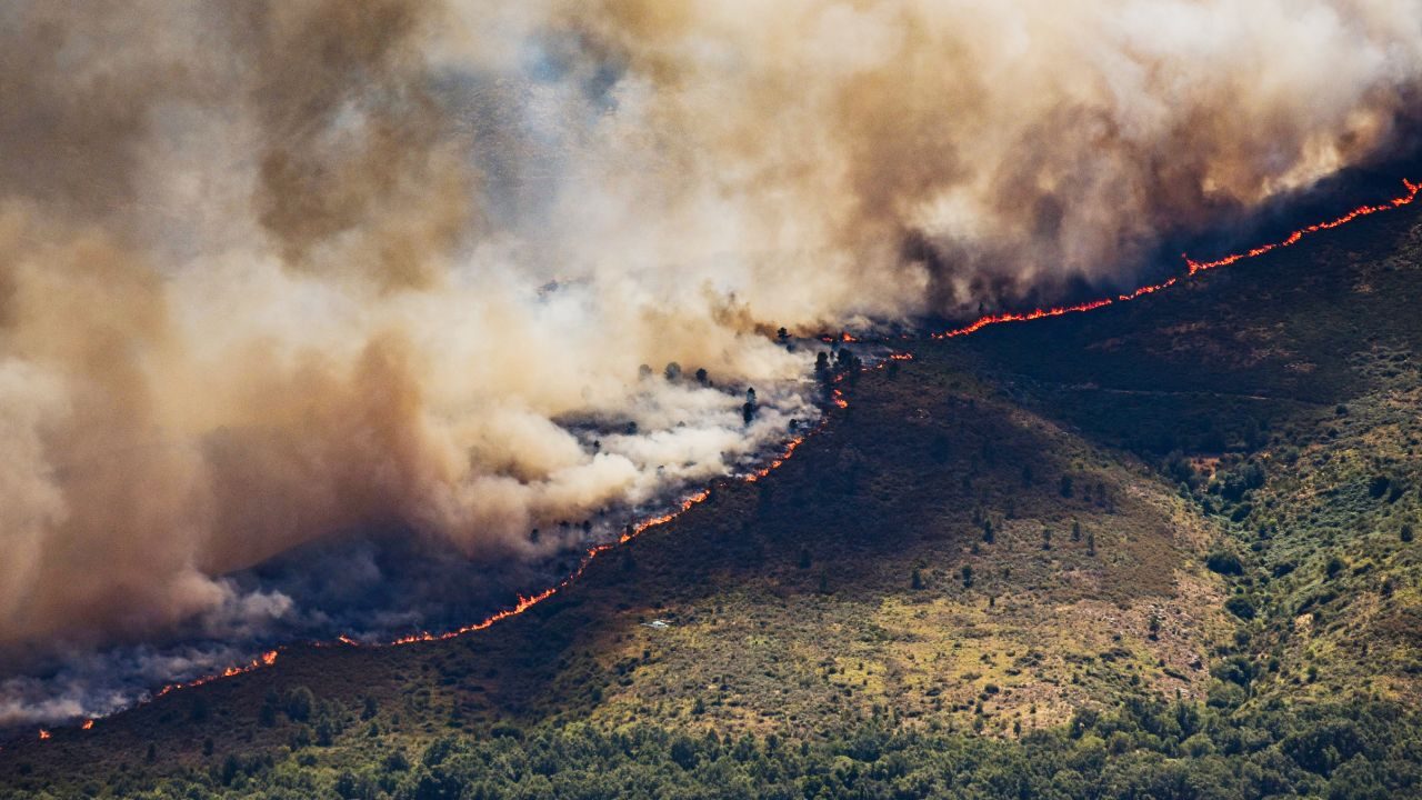France battles wildfire four times Paris’ size France wildfire