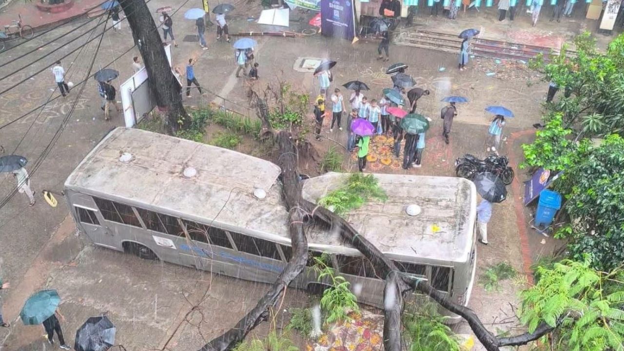 Tree uproots in rain, crushes JnU bus at Shaheed Minar Tree uproots