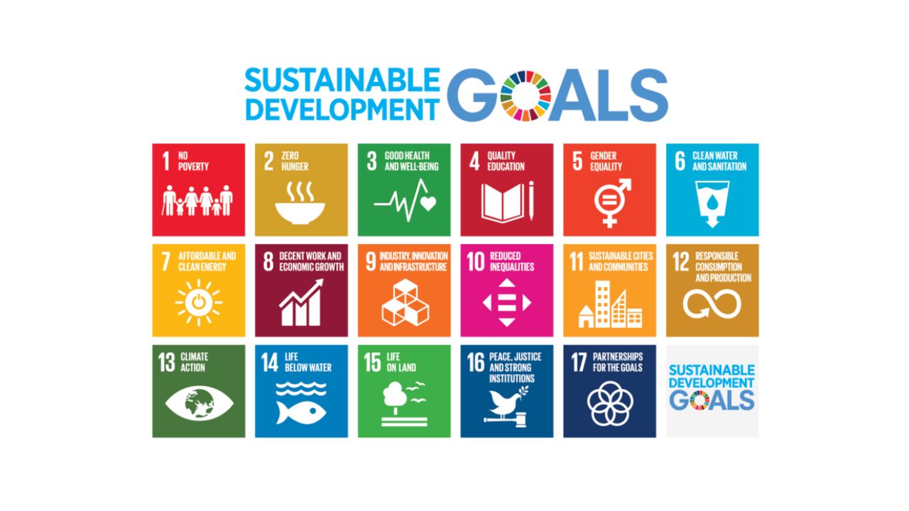 finance for LDCs
