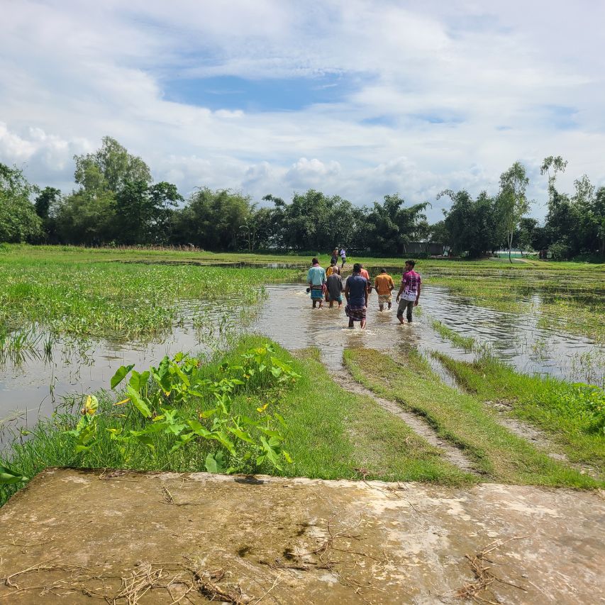 Teesta