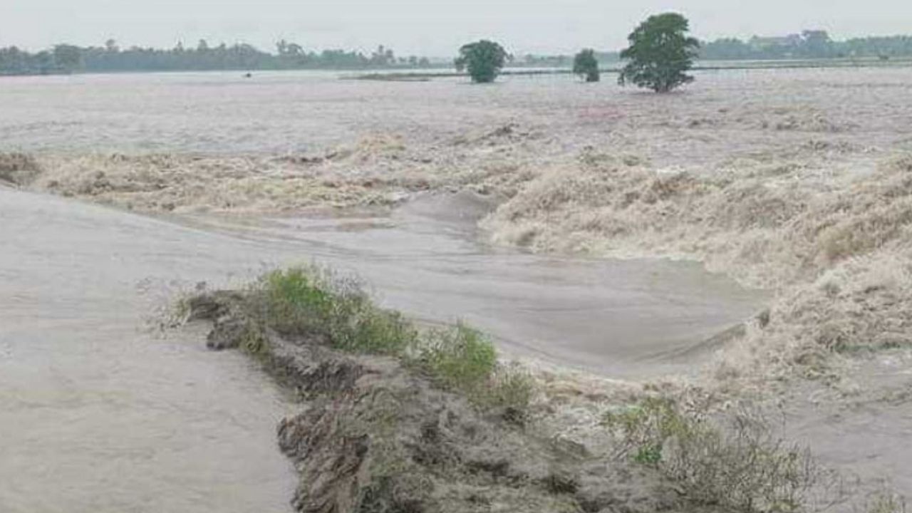5 rivers flowing above danger level: FFWC 5 rivers