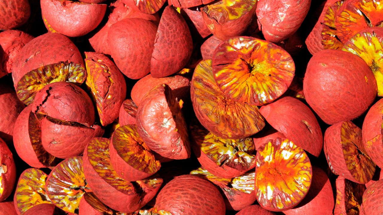 India areca nut scam