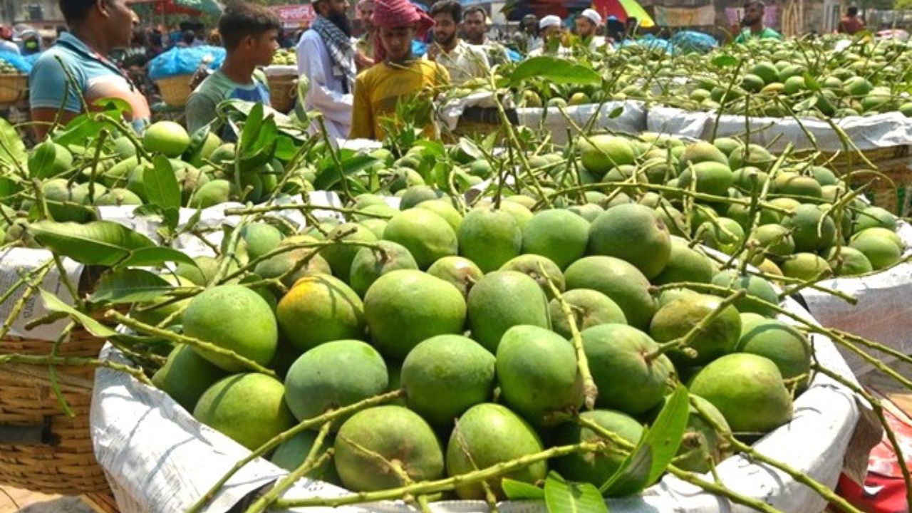 Late mangoes revive Kansat market