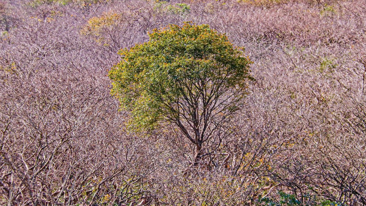 Sylhet Climate change