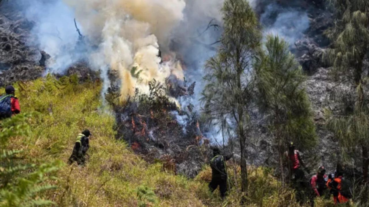 Mount Bromo wildfire destroys Indonesia’s national park Wildfire Indonesia