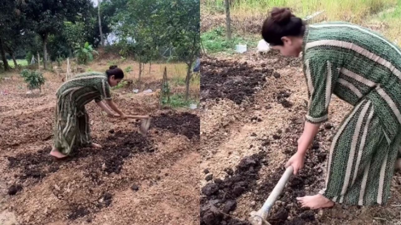 Jaya Ahsan gardening