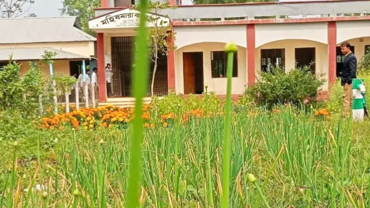 Mahishmara College