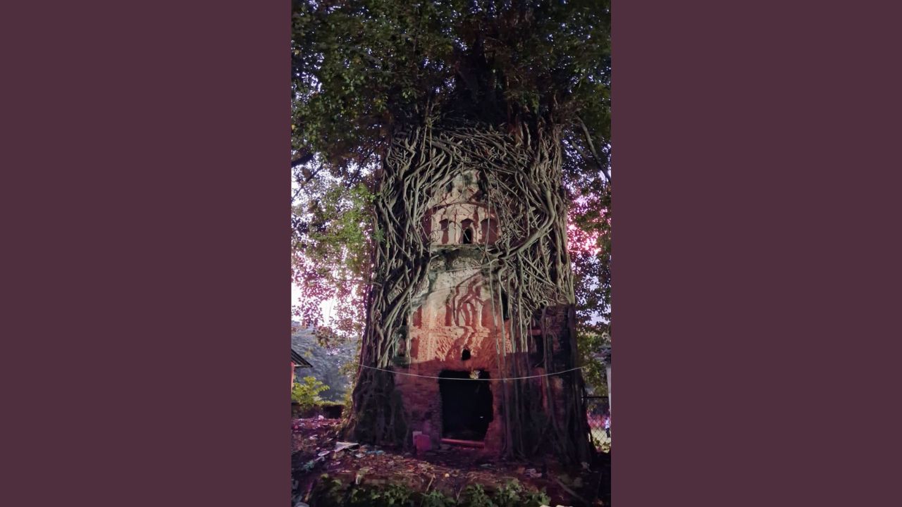 Vagabond vibes: Twilight moments with the scared and haunting! Old DU temple
