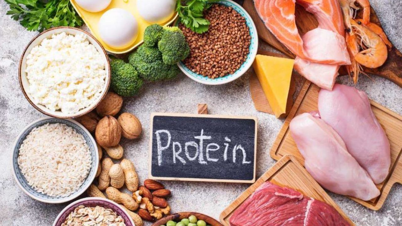 Protein