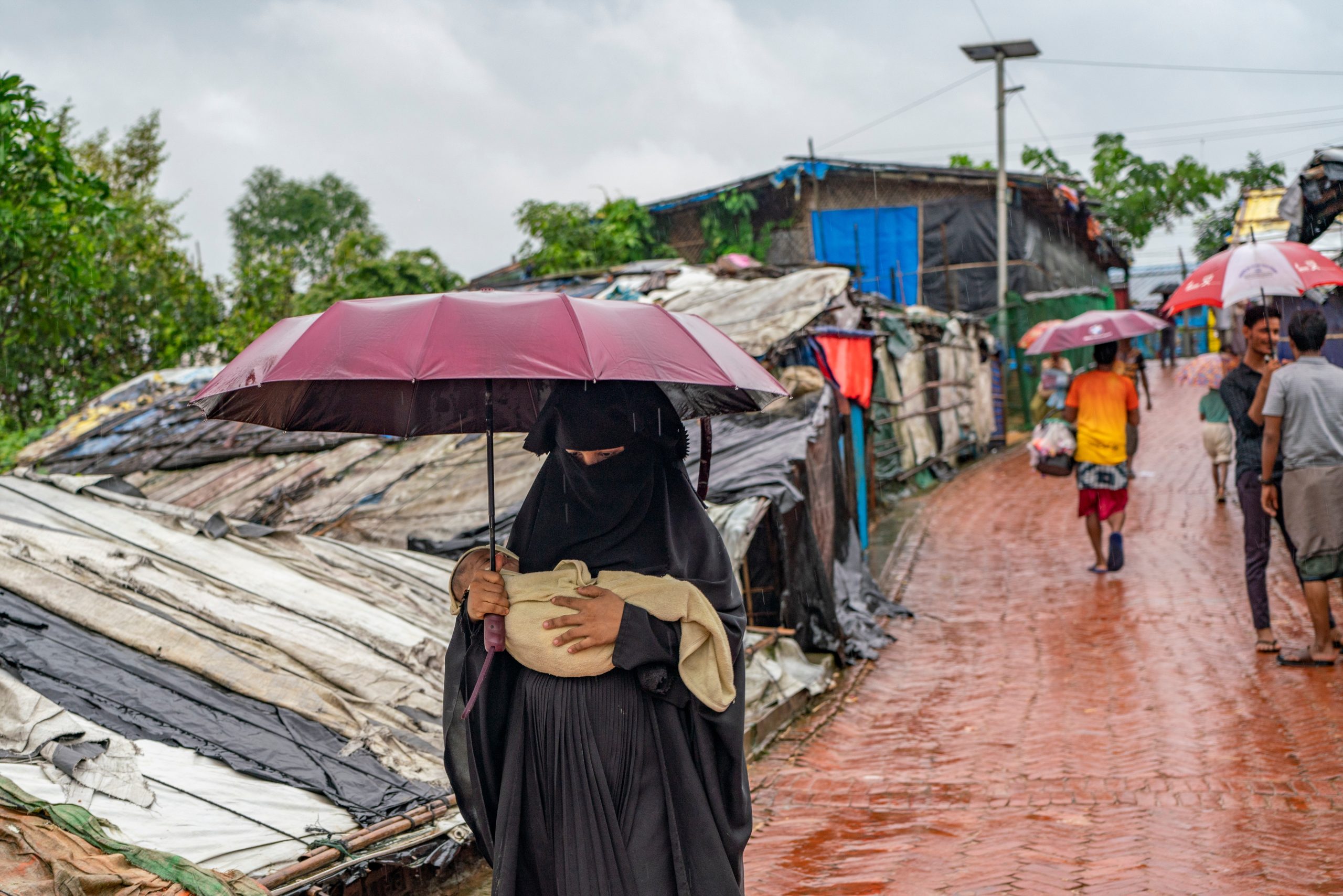 Rohingya crisis