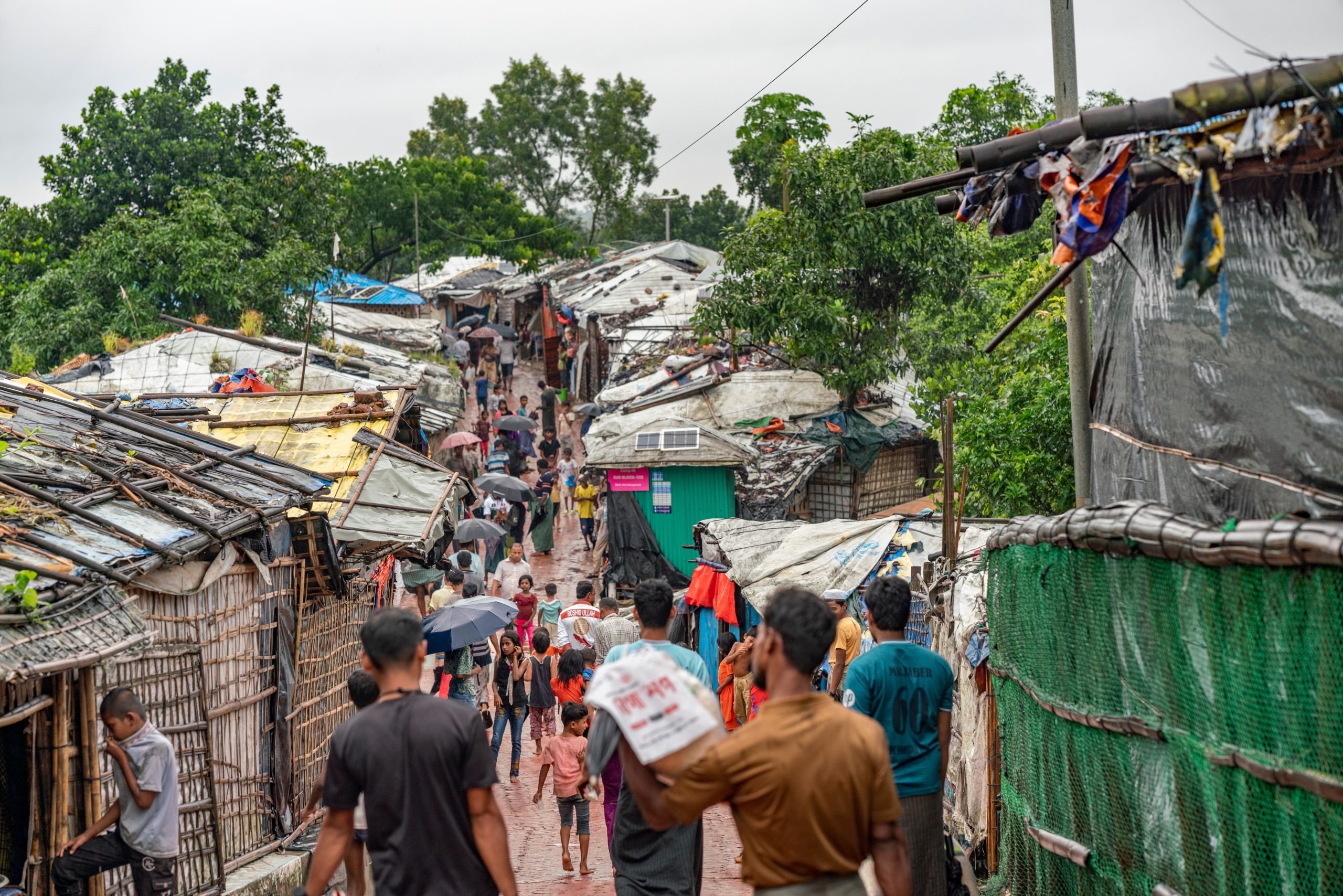 Rohingya crisis can only be resolved in Myanmar: Tarique