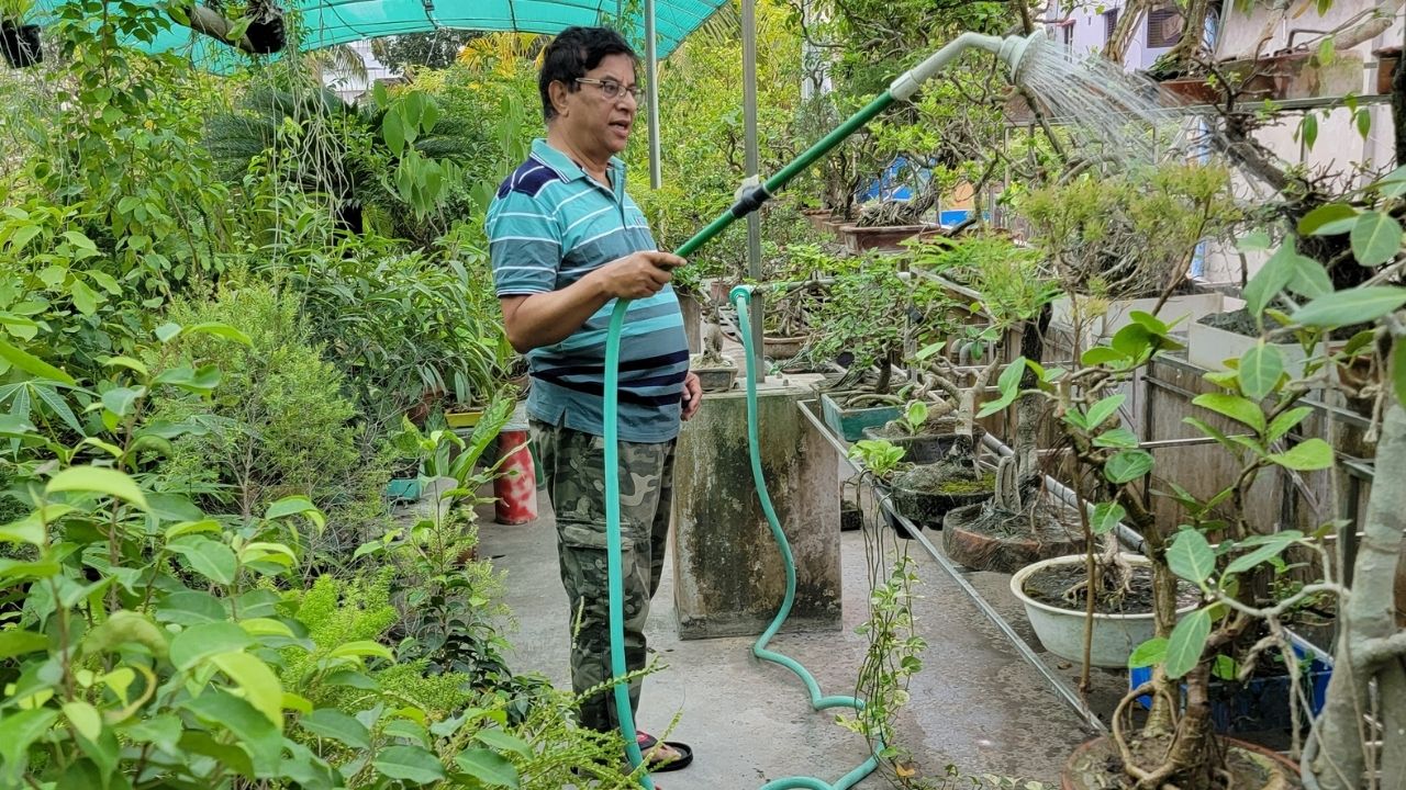 Small wonders: Doctor couple turn rooftop into green haven Khulna couple turn rooftop into green haven