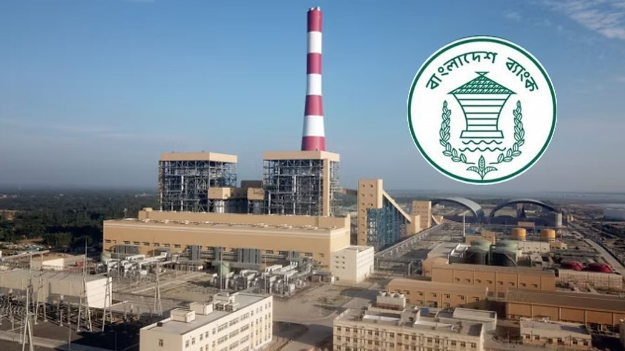 S Alam power plant LC