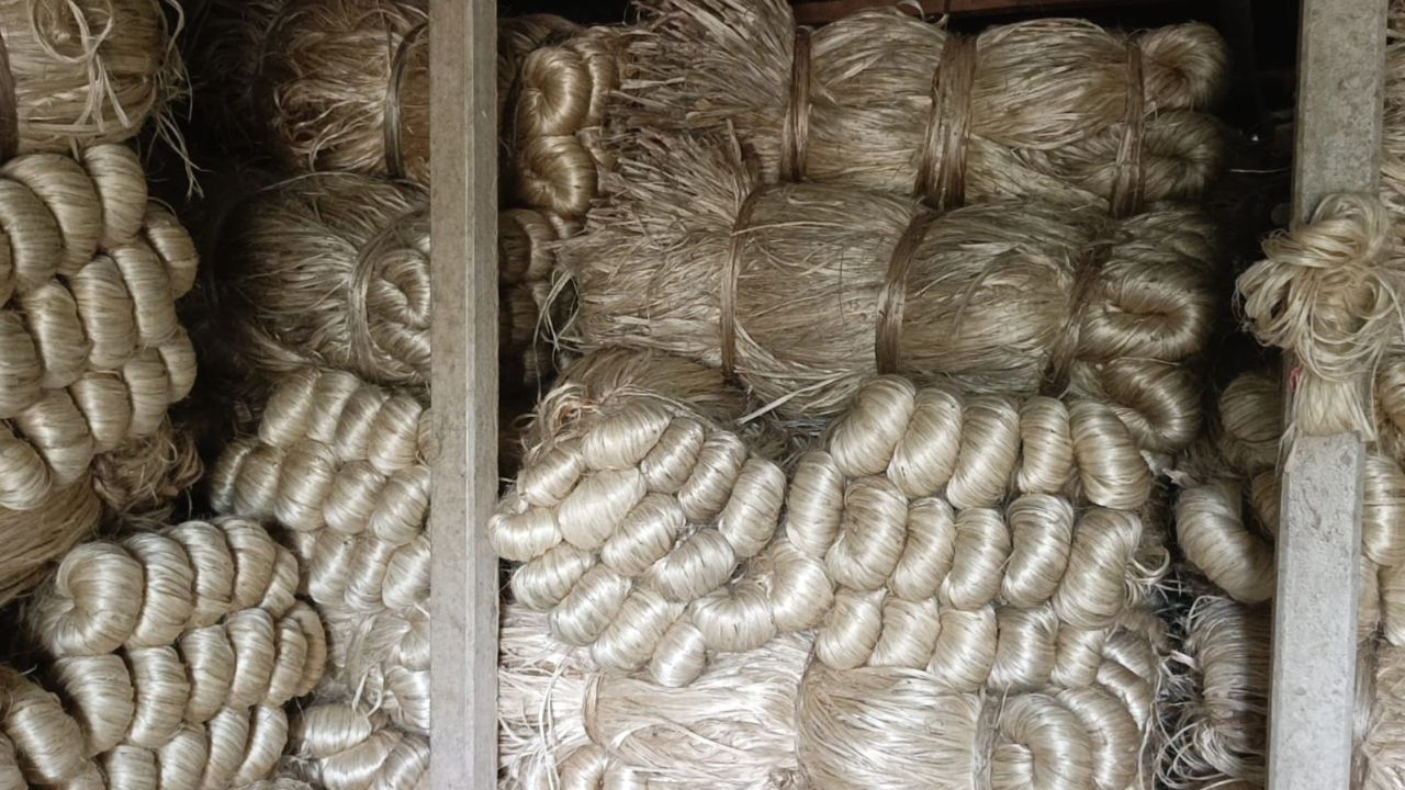 3 jute mills to reopen with Tk619cr investment jute mills