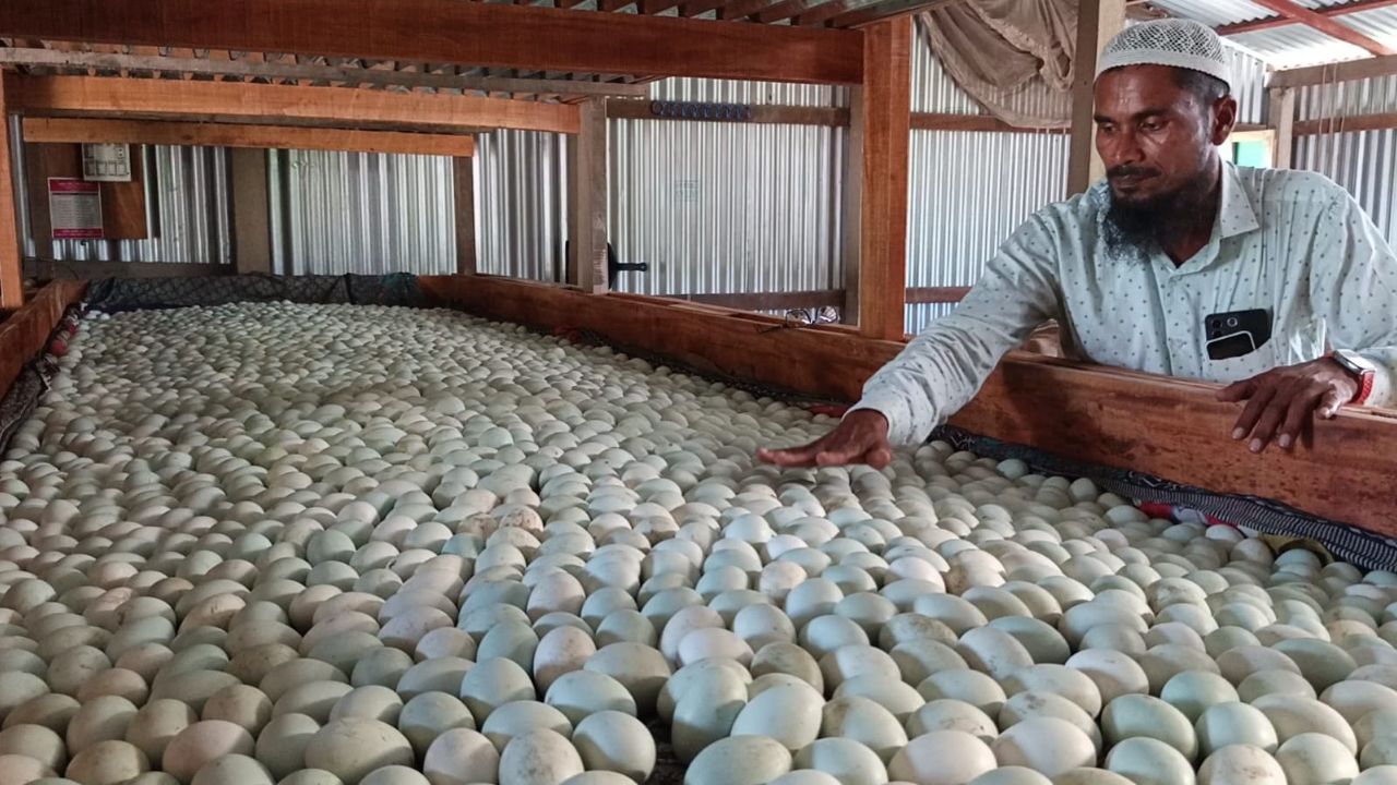 Yasin’s homegrown incubators