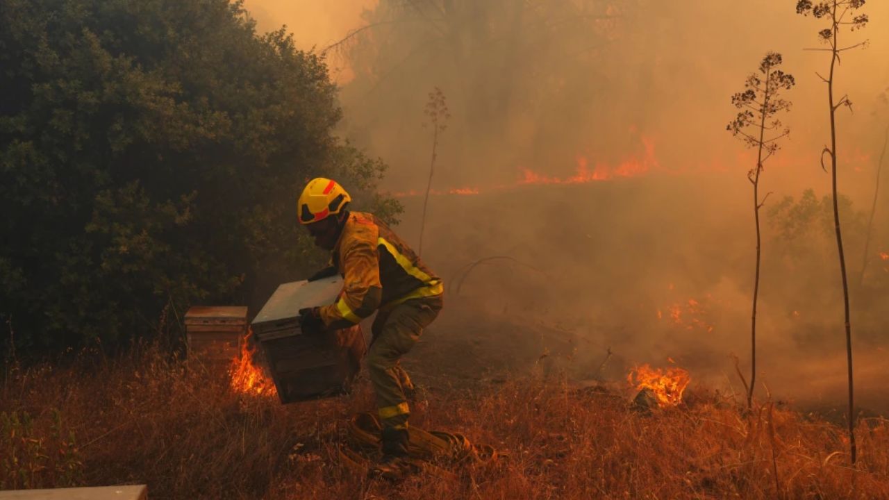 UN warns powerful El Nino to intensify global heat firefighter