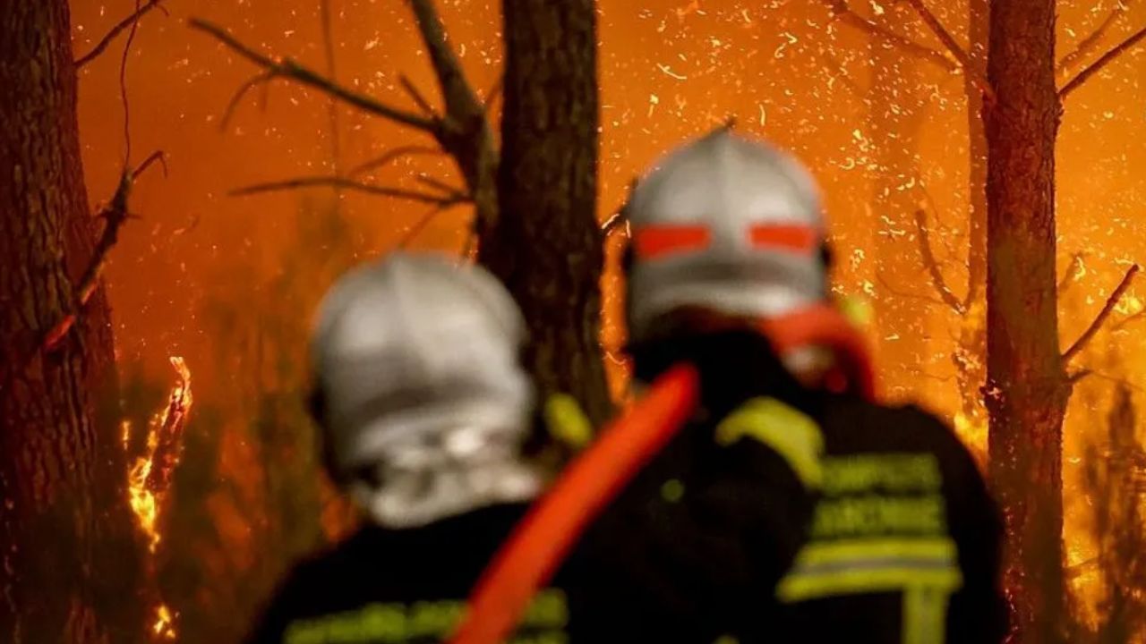firefighters