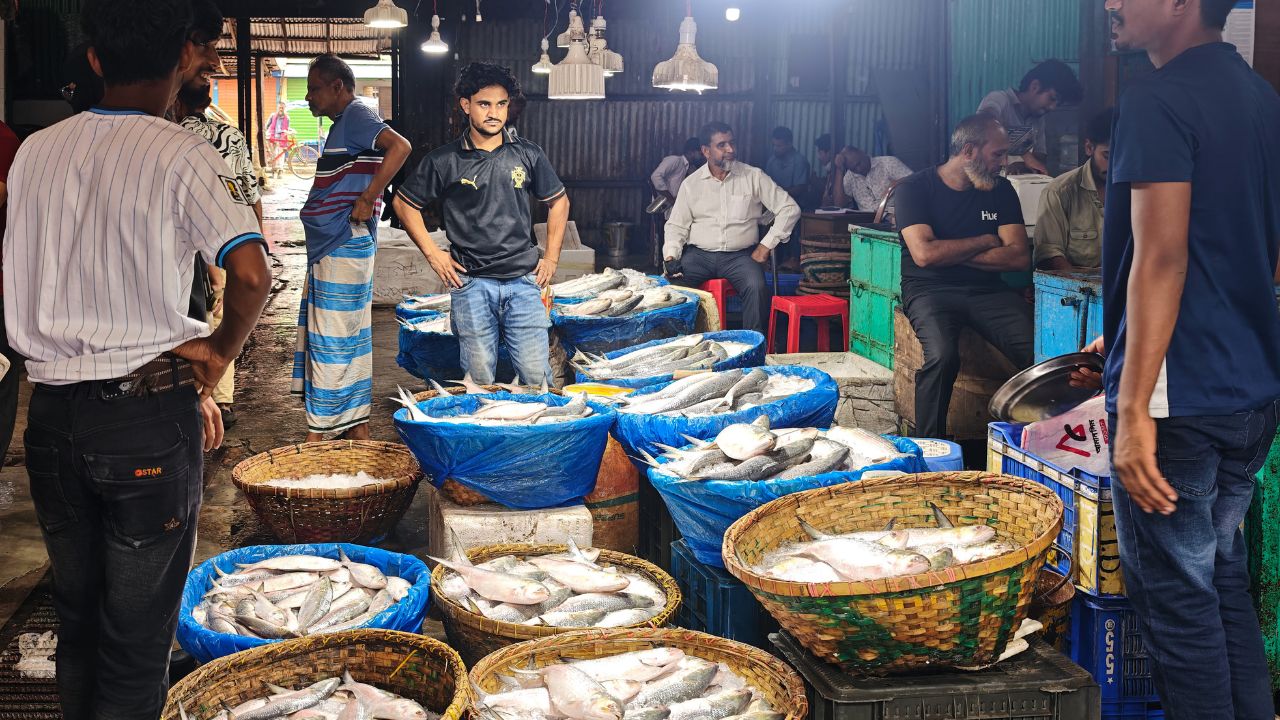 Chandpur fish trade