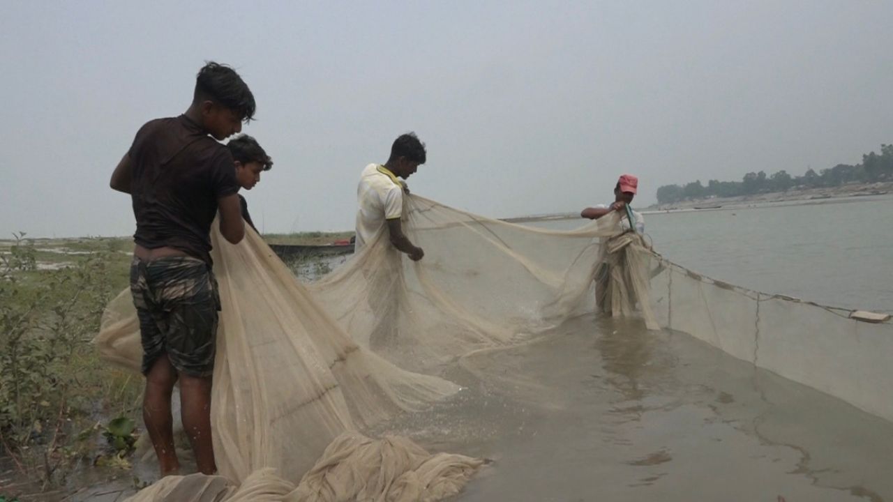 Jamalpur’s rivers run short of native fish