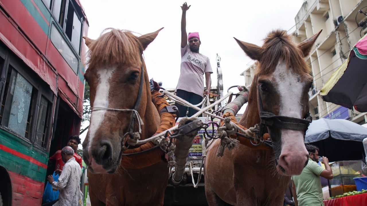 Old Dhaka’s horse carriages