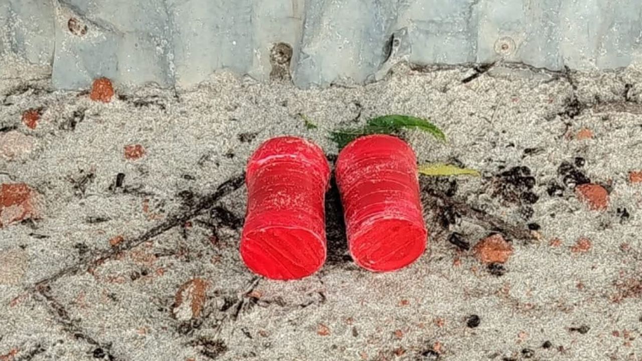 meherpur bomb