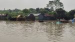 2,500 families marooned as Chapainawabganj rivers near danger mark