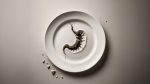 What’s on your plate?