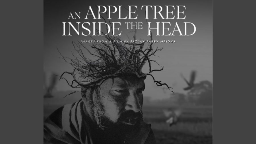 ‘An Apple Tree Inside the Head’ to be unveiled through photo exhibition