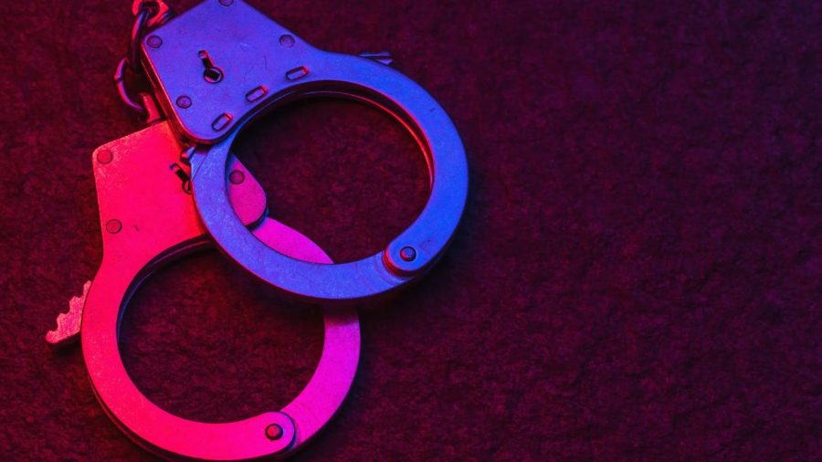What the law says about arresting a lawmaker