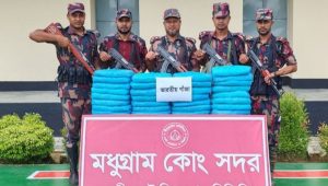 BGB seizes 34kg Indian cannabis in Feni border area