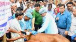 BLRI-developed LSD vaccine rolled out to protect livestock