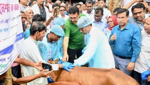 BLRI-developed LSD vaccine rolled out to protect livestock