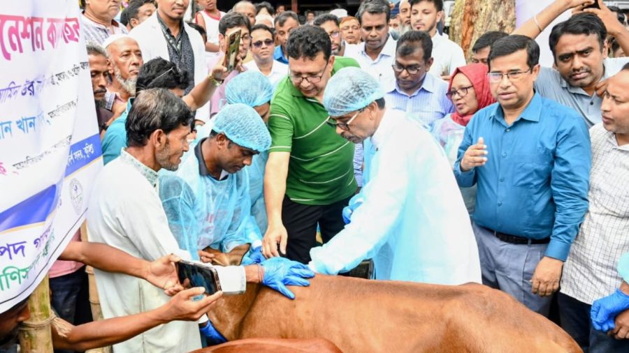 BLRI-developed LSD vaccine rolled out to protect livestock