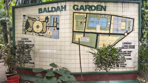 A year as a traditional grove: Baldha Garden battles urban pressure