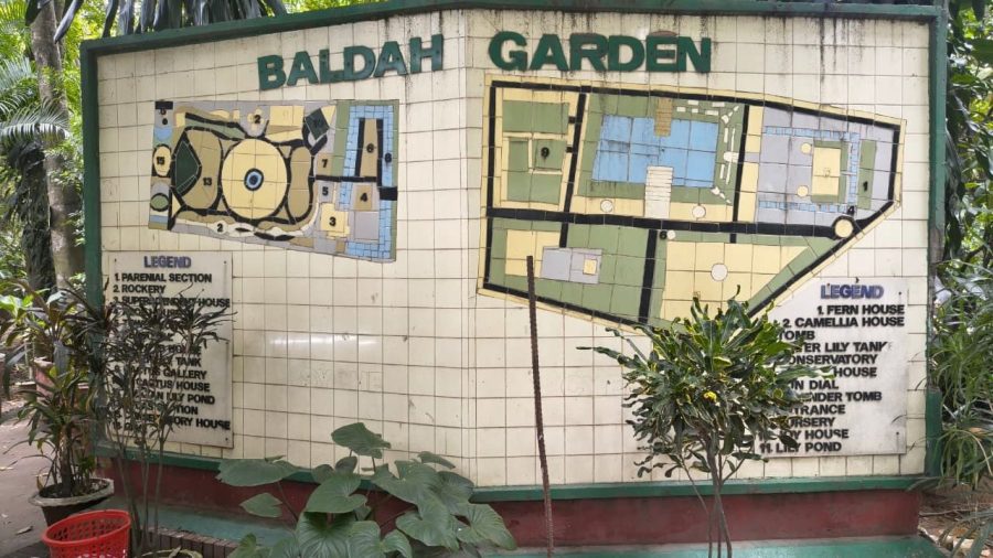 A year as a traditional grove: Baldha Garden battles urban pressure