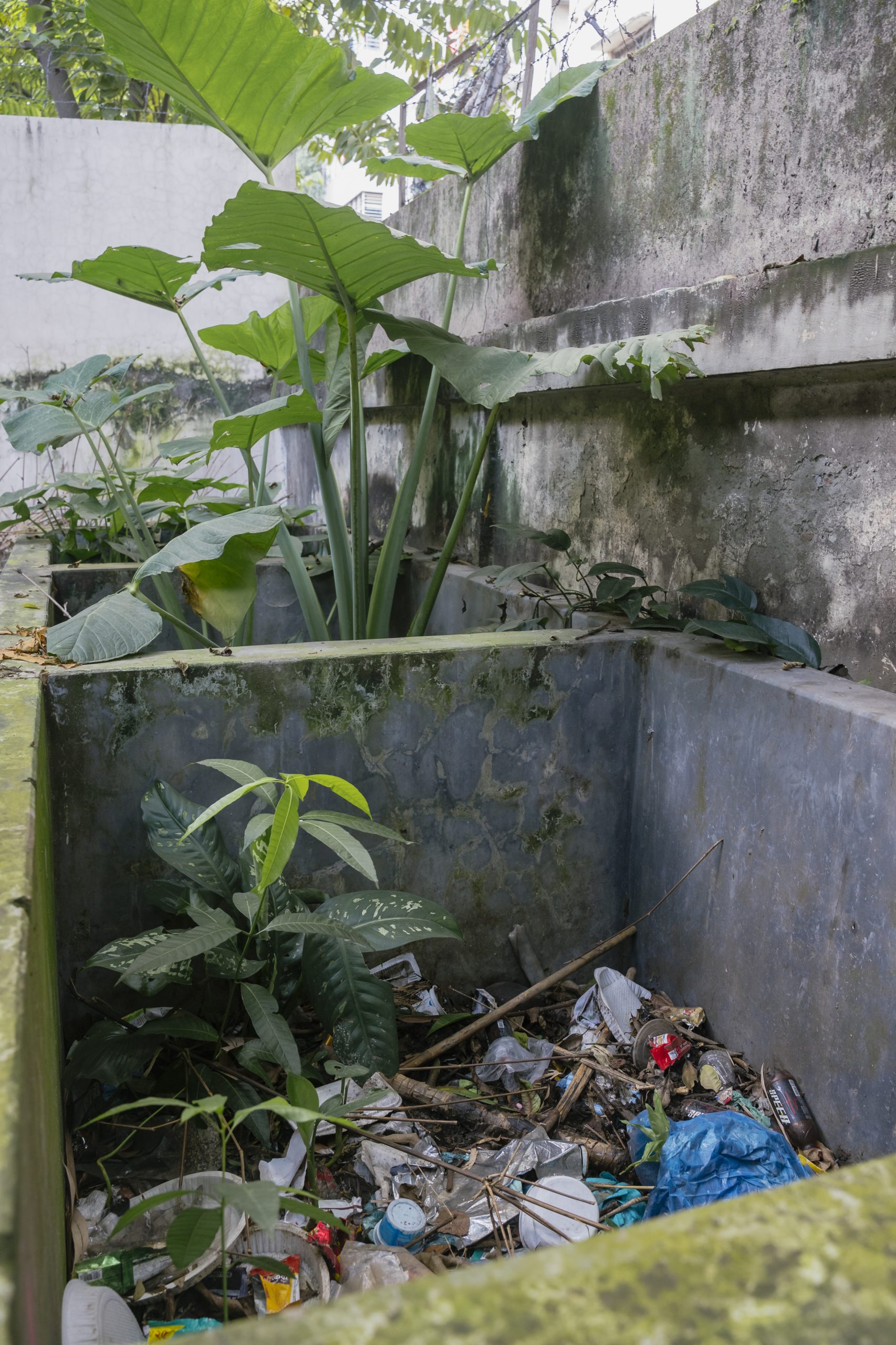 Baldha Garden restoration