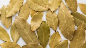 The leaf behind the flavour