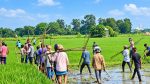30 hurt in clashes between rival groups in B’baria