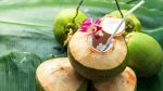 Coconut water: A roadside luxury