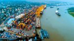 Ctg port set to go fully paperless by December