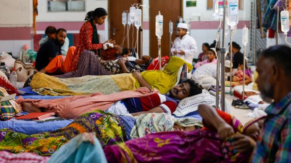 7 die of dengue, daily hospitalisations hit yearly high of 1,753
