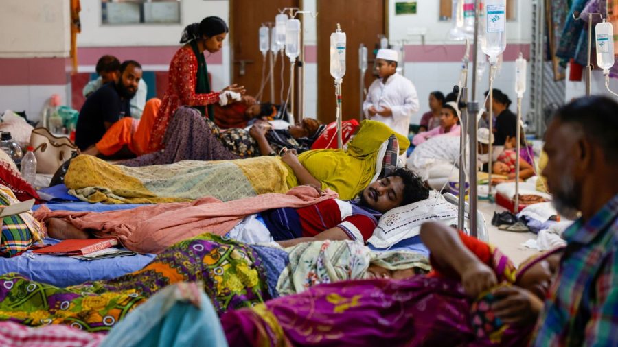Dengue claims six more lives; 1,492 hospitalised in 24hrs