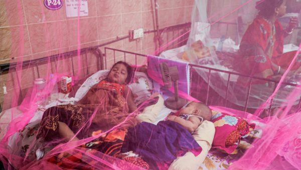 Health Ministry seeks content creator’s help to combat dengue