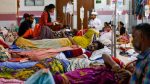 From seasonal outbreak to year-round threat