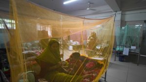 Dengue claims nine more lives