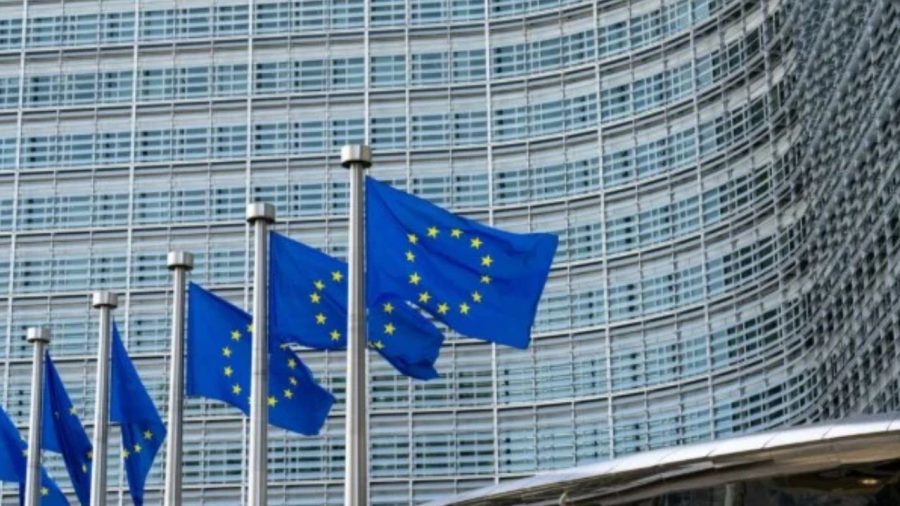 EU dismisses Russia’s ‘so-called’ elections