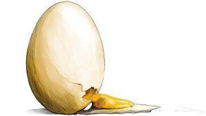 Egg market squeeze traps farmers, consumers